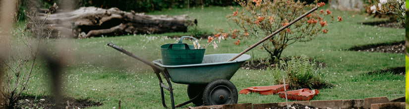 giardinaggio attrezzatura per la cura e la manutenzione del tuo giardino acquista online agricola sassarese