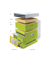 Arnia Standard Da 10 Favi In Legno Italiano - Per Apicoltura - Foto 4